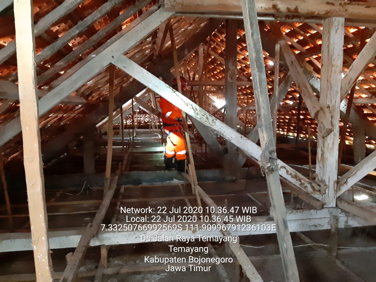 PENANGANAN KOLONI KELELAWAR