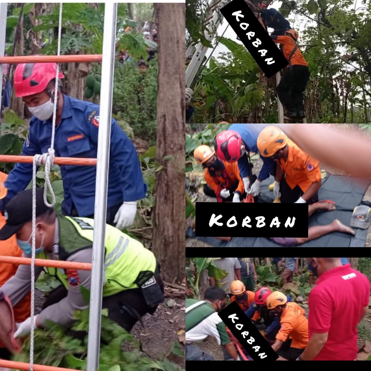 Evakuasi Korban Meninggal di Atas Pohon Jati.