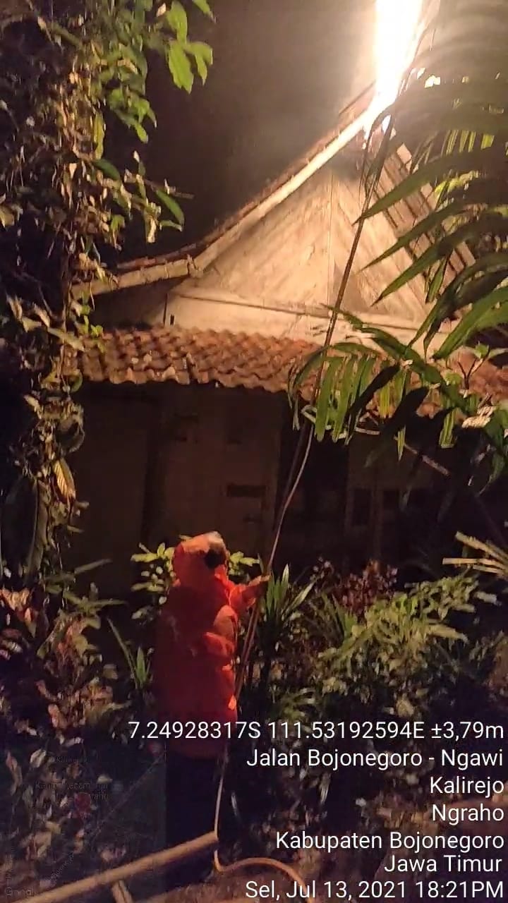 Penanganan Tawon Ndas Dsn Kalirejo Rt 004/002 Desa Kalirejo, Kec. Ngraho
