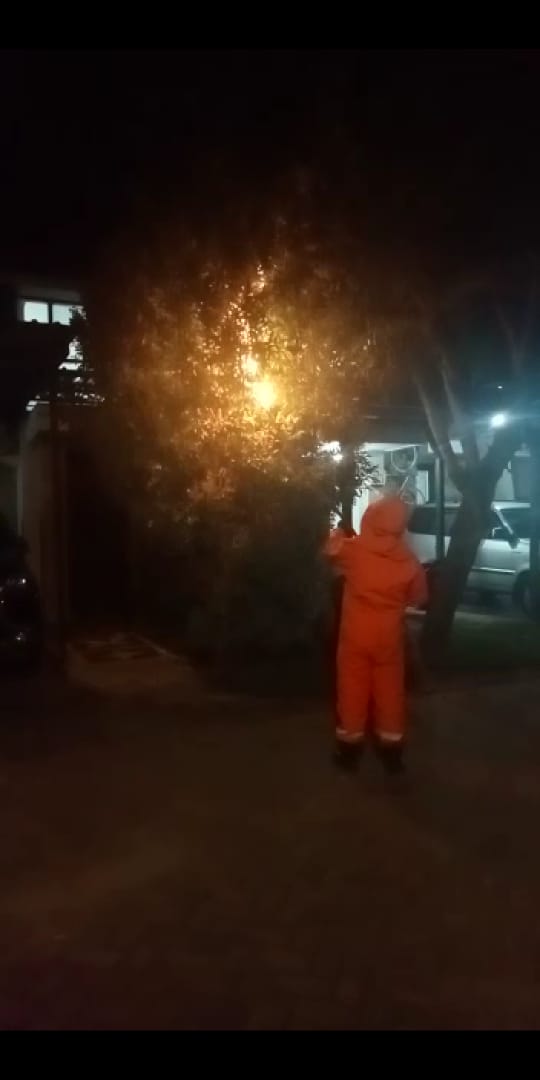 Penanganan Tawon Ndas  Perumahan Polim Regency Pacul Ds.Pacul