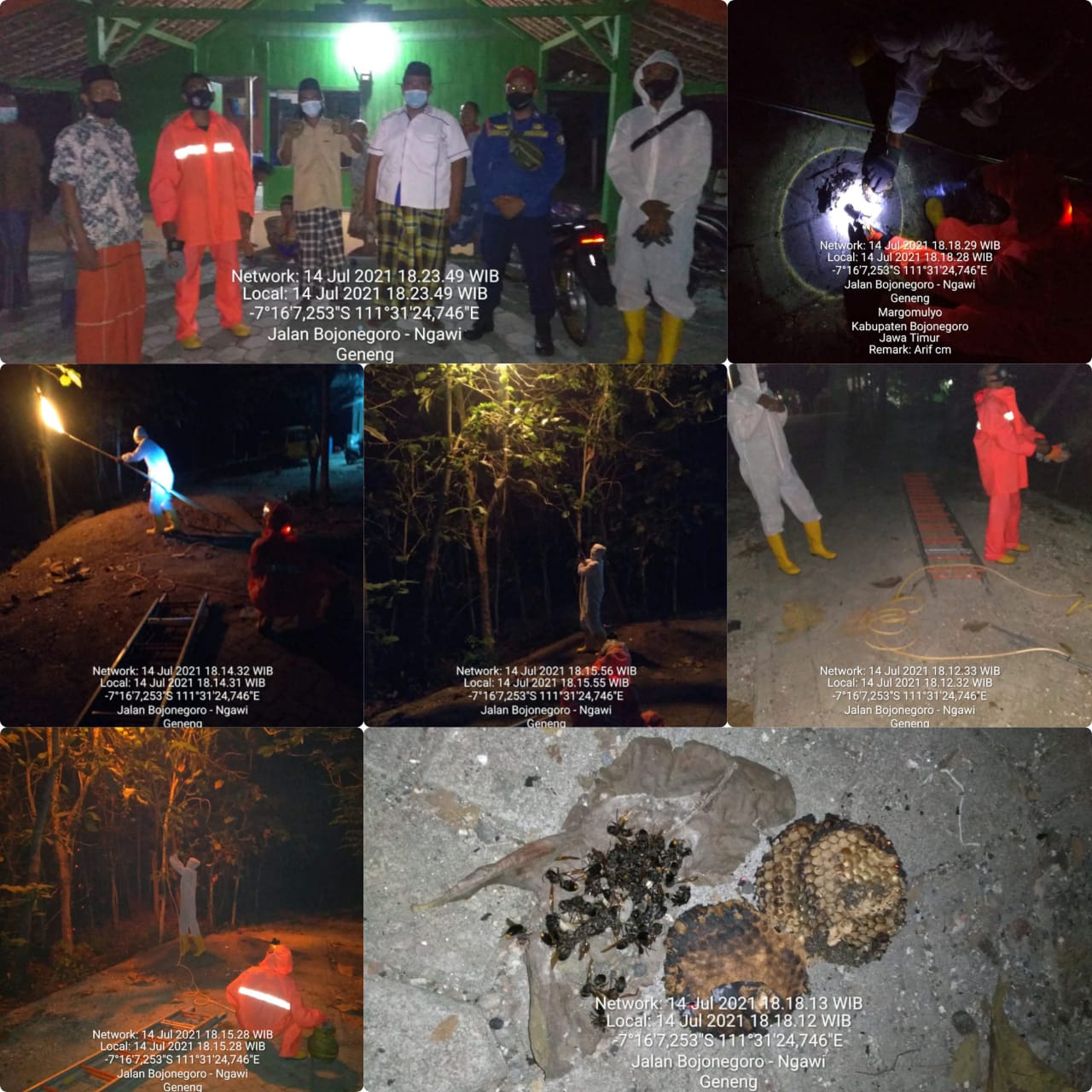 Penanganan Tawon Ndas Dsn.Setren RT.12/RW.04 Ds. Belimbing Gede Kec. Ngraho