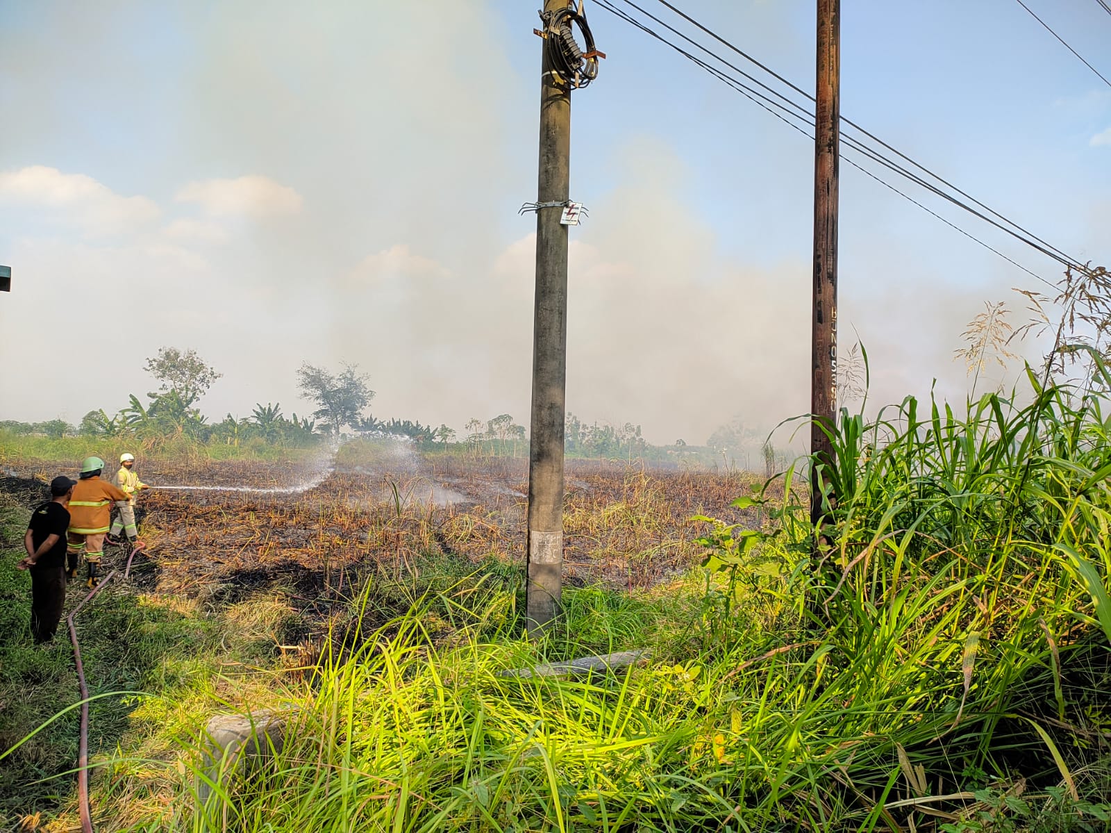 Kebakaran Lahan Tebu di Dusun Poluju Rt 17 Rw 06 Desa Baureno