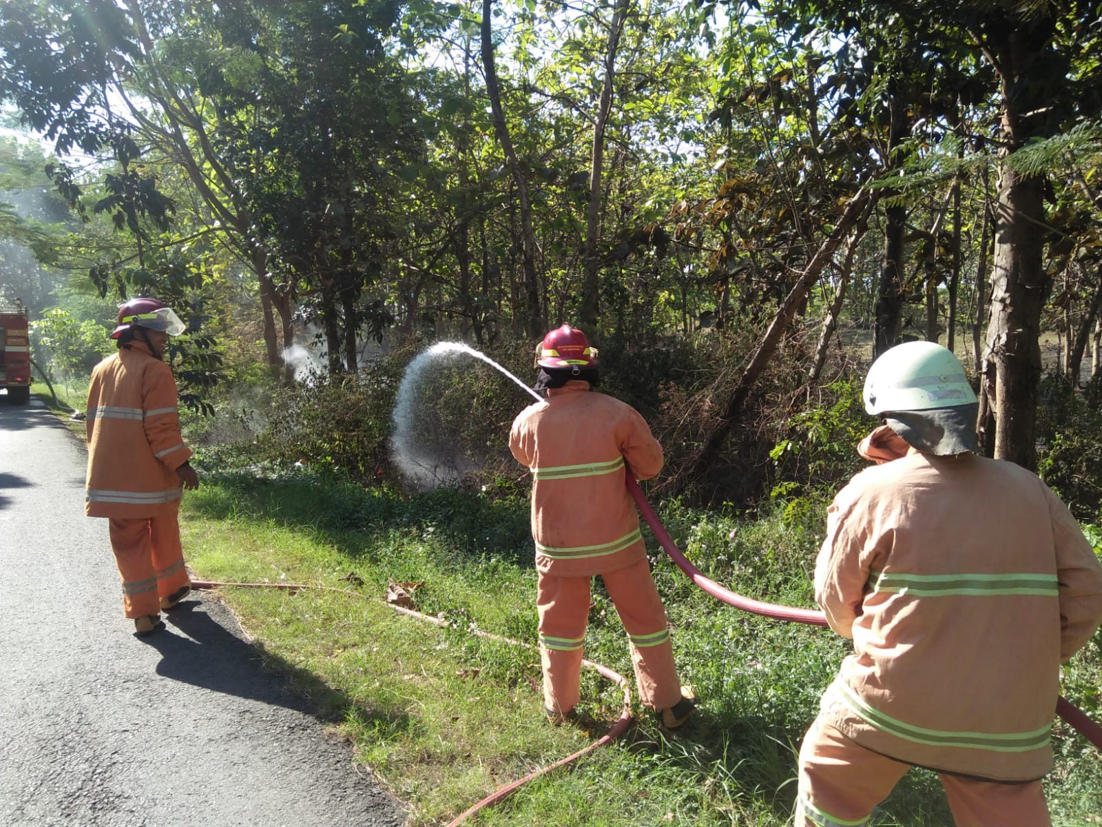 Kebakaran Hutan RPH Sampang.BKPH Dander petak 127