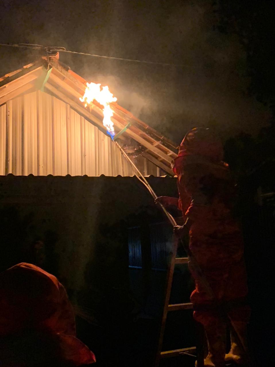 Evakuasi Sarang Tawon Ds Kedewan rt 04 RW 01.kec.kedewan  Kab.bojonegoro