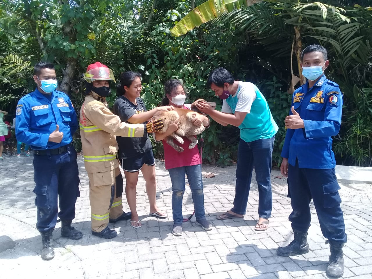 Evakuasi Anjing Masuk  Drainase yang Tertutup Cor
