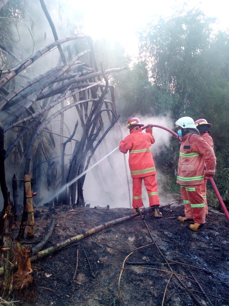 Kebakaran Rumpun Bambu di Ds.Papringan Kec.Temayang
