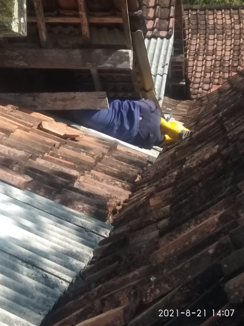Evakuasi Kucing Kejepit di Atap Rumah  Desa sekar, RT 01 RW 01 Kec.Sekar