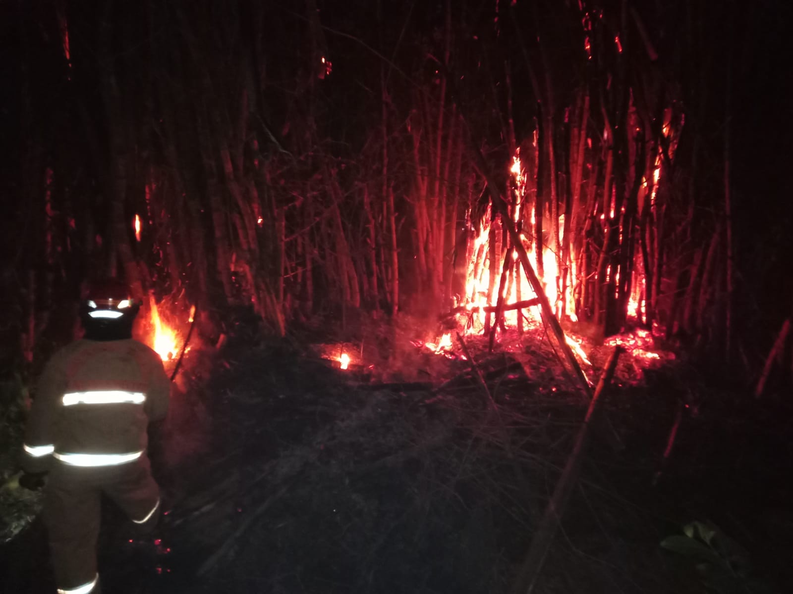 Pembakaran sampah daun bambu kering yang menjalar ke rumpun bambu