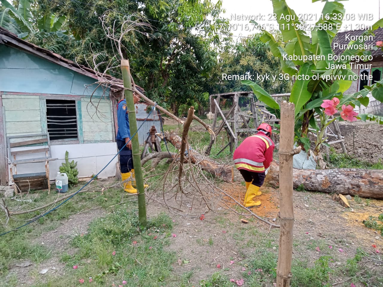 Pemotongan Pohon Tumbang Ds.Purwosari  Kec.Purwosari