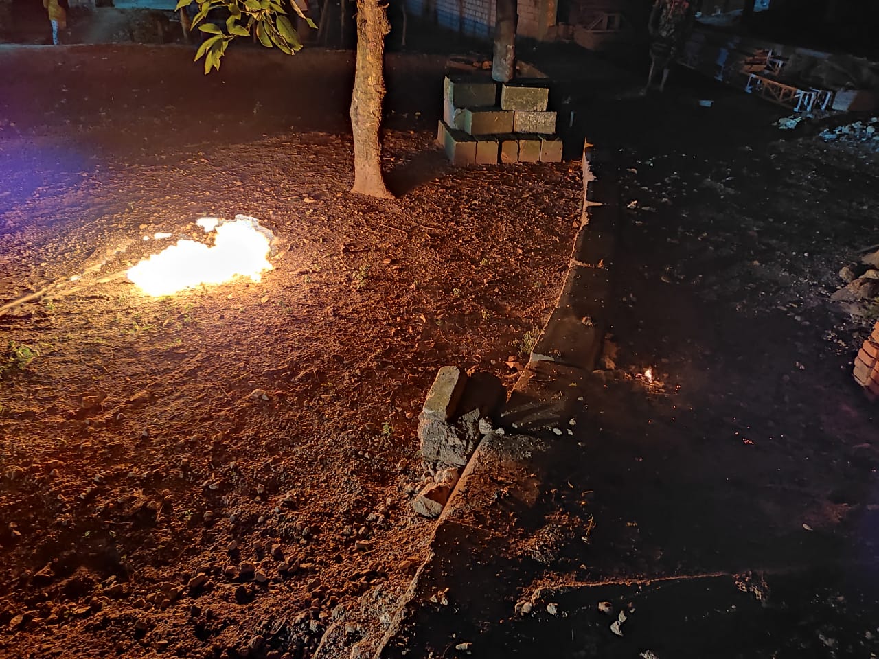 Damkar Bojonegoro melaksanakan evakuasi sarang tawon yang membahayakan warga.