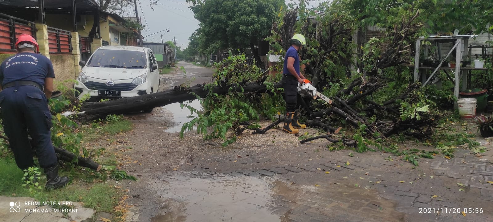 Nyaris timpa mobil,Petugas Damkar evakuasi pohon tumbang