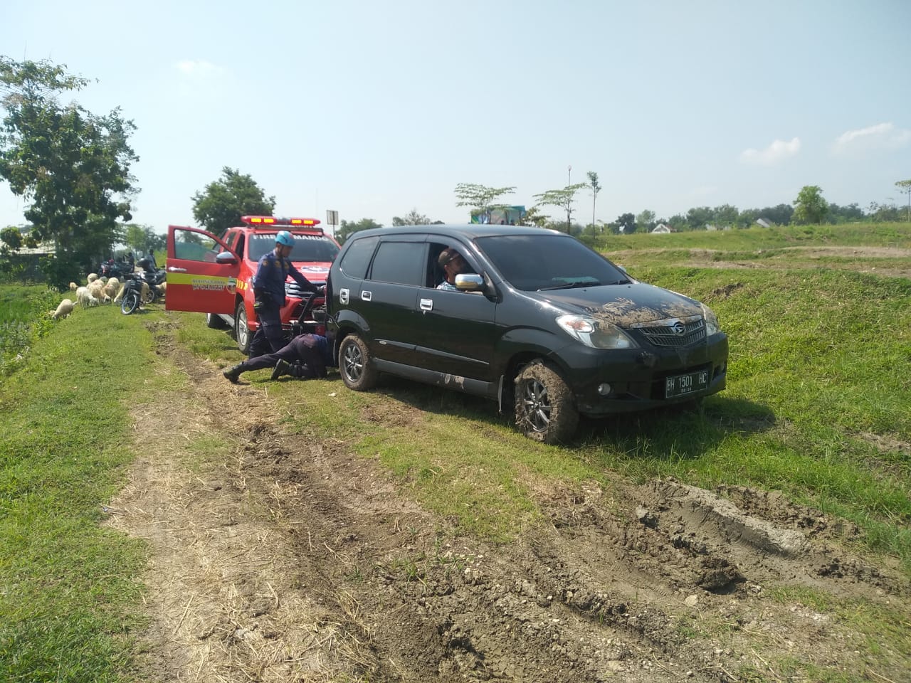 Evakuasi Minibus Terperosok