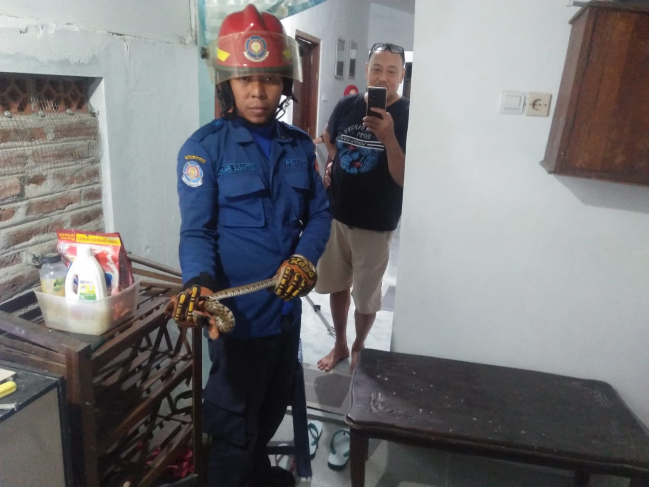 Evakuasi Ular yang memasuki rumah warga
