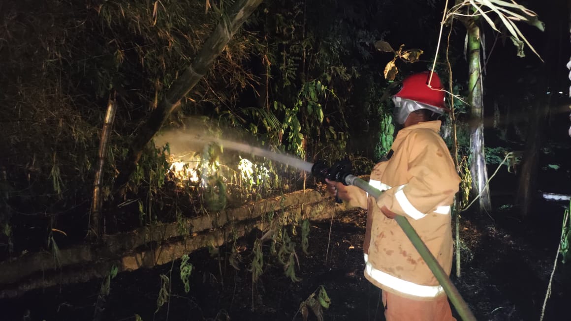 Kebakaran Rumpun Bambu Di Kecamatan Kedungadem