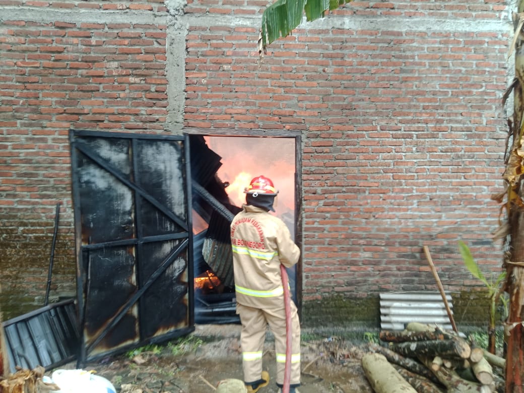 Oven Tembakau Terbakar.