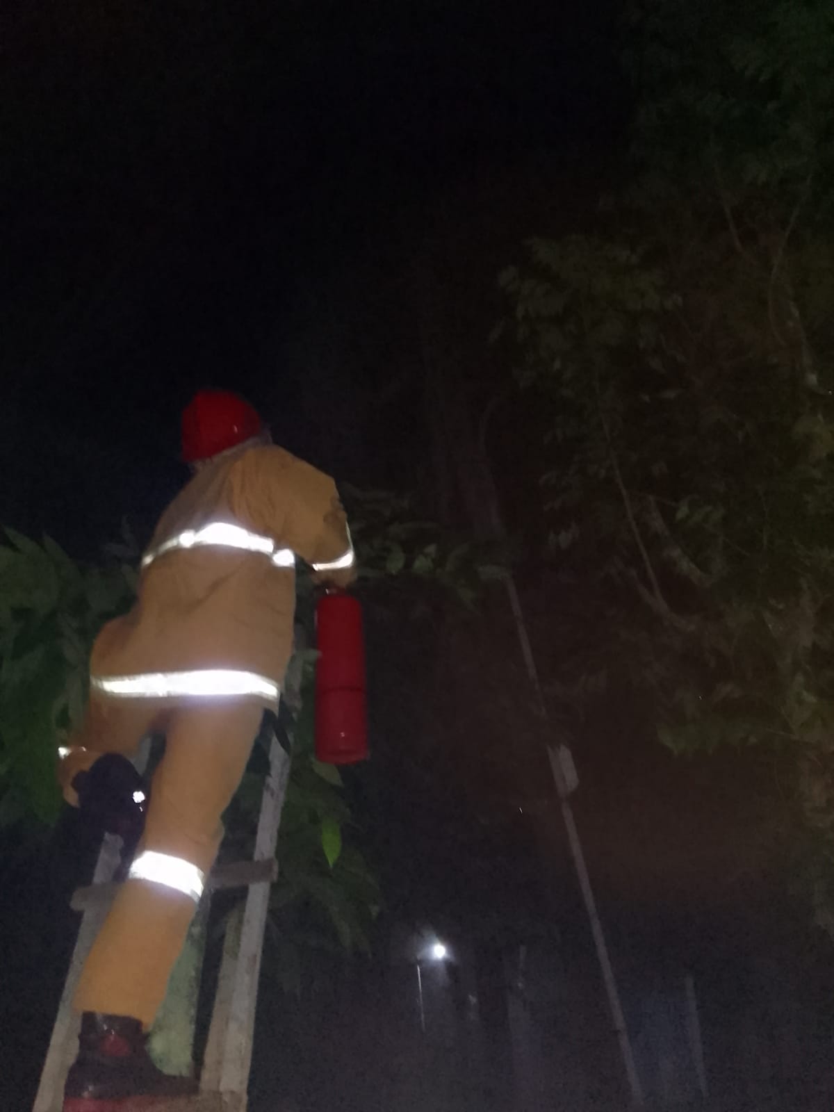 Kabel Induk Terkelupas, Sebabkan Kebakaran.