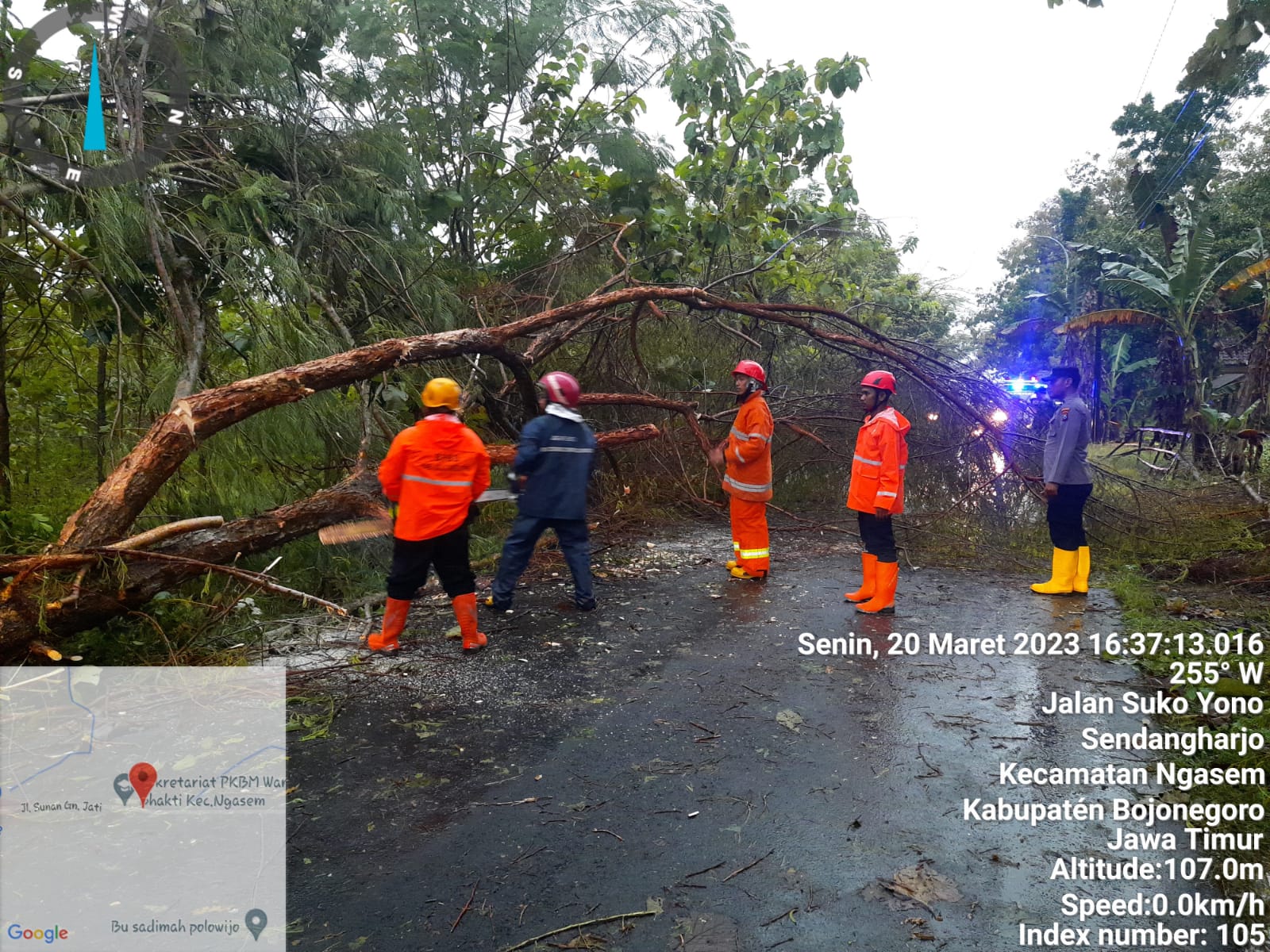 penanganan pohon tumbang yg mengganggu LALULINTAS