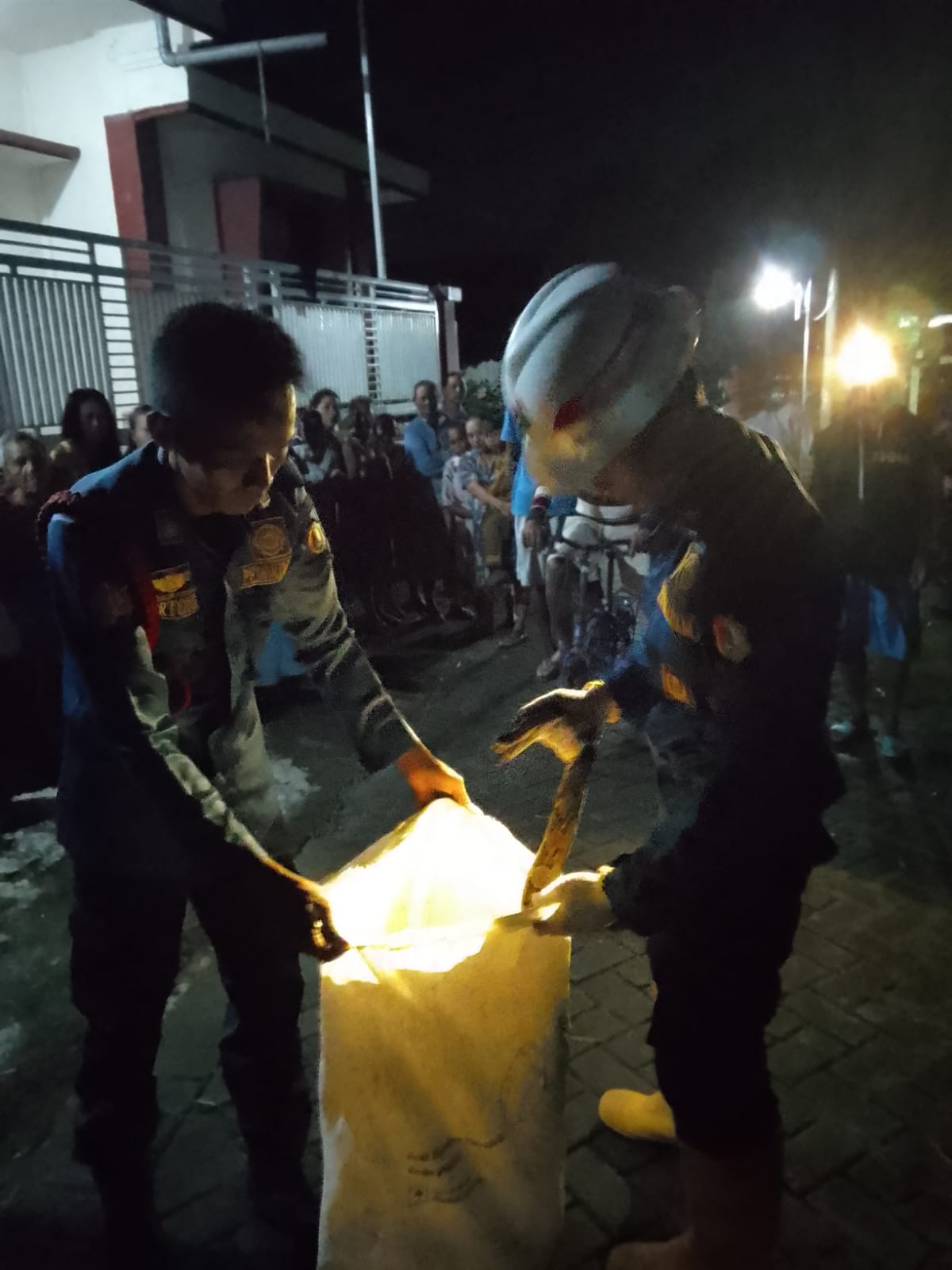 Aduan penanganan ular