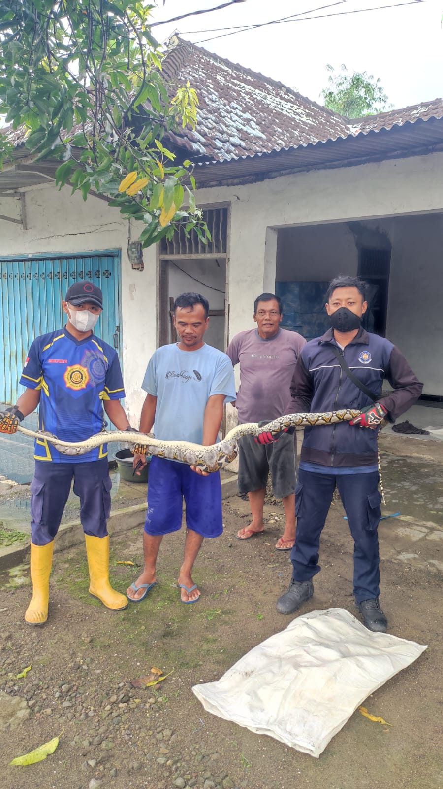 Aduan penanganan ular