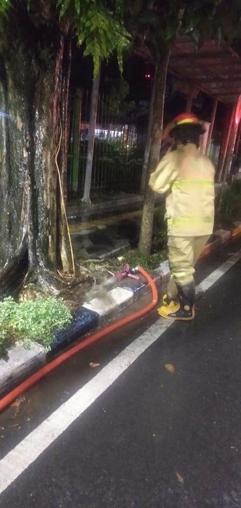 Kebakaran Pohon membahayakan pengguna jalan.