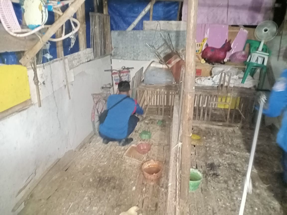Aduan penanganan ular