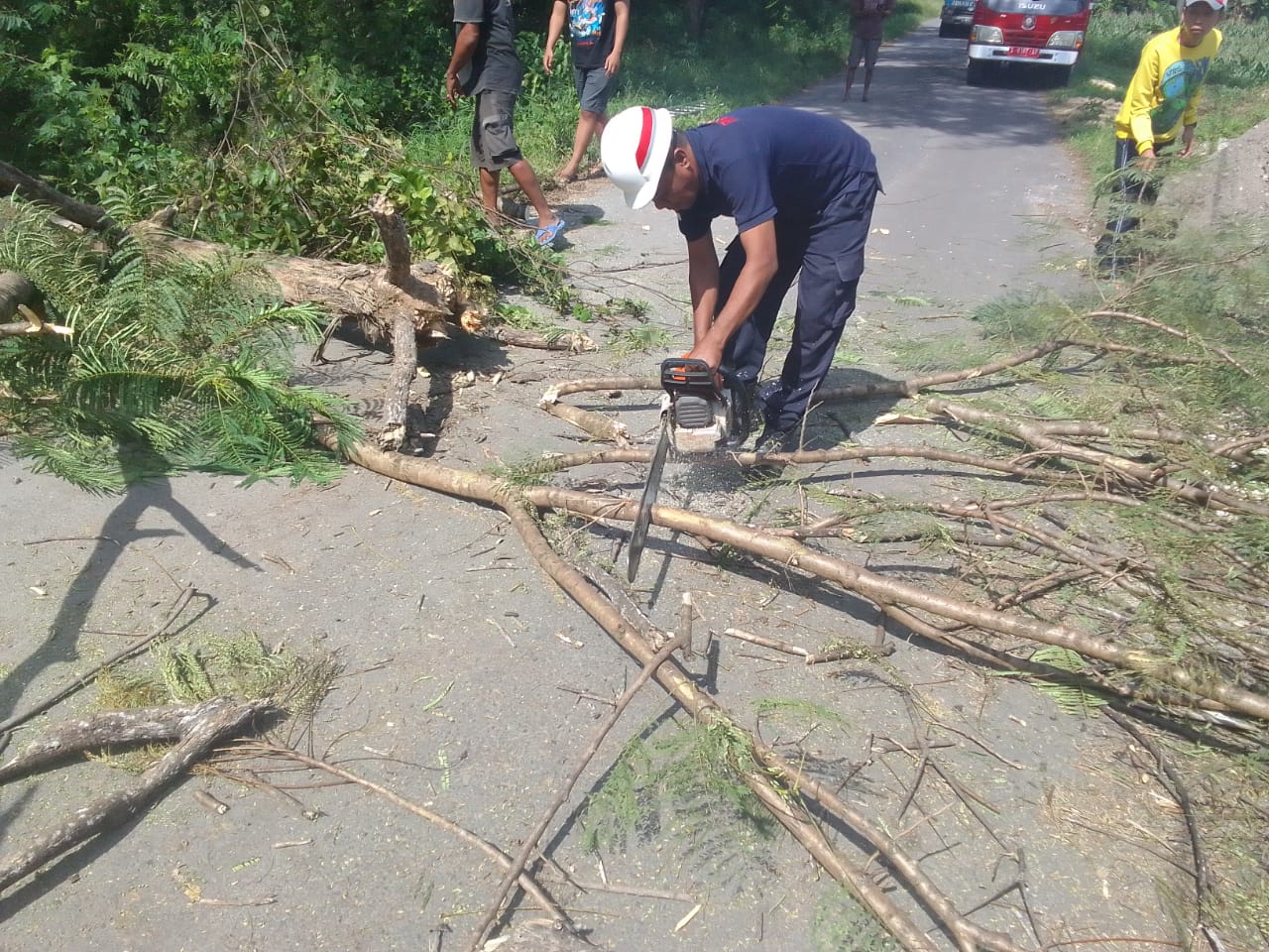 Petugas Damkar evakuasi pohon tumbang yang menutup jalan.