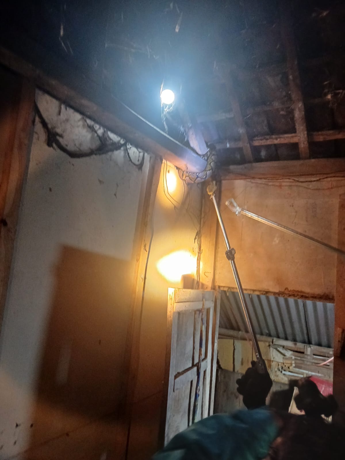 Penemuan ular sepanjang 3 meter gegerkan warga Desa Babad, Kecamatan Kedungadem.