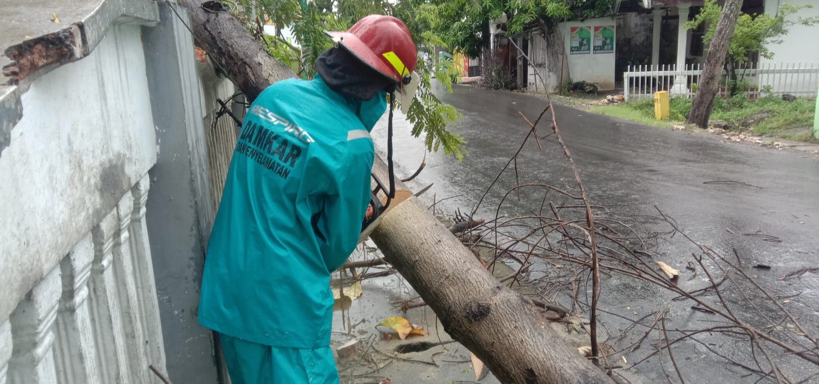 Respon Cepat Damkar Evakuasi Pohon Tumbang di Jl. Ade Irma, Kelurahan Sumbang.