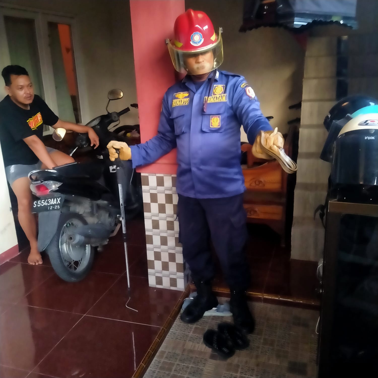 Ular Macan Air Kagetkan Warga Kalianyar.