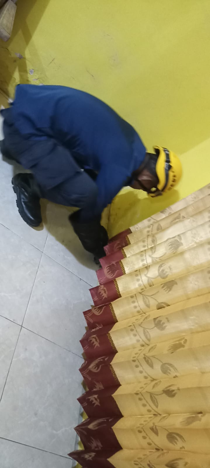 Damkar Bojonegoro evakuasi ular lanang sapi.