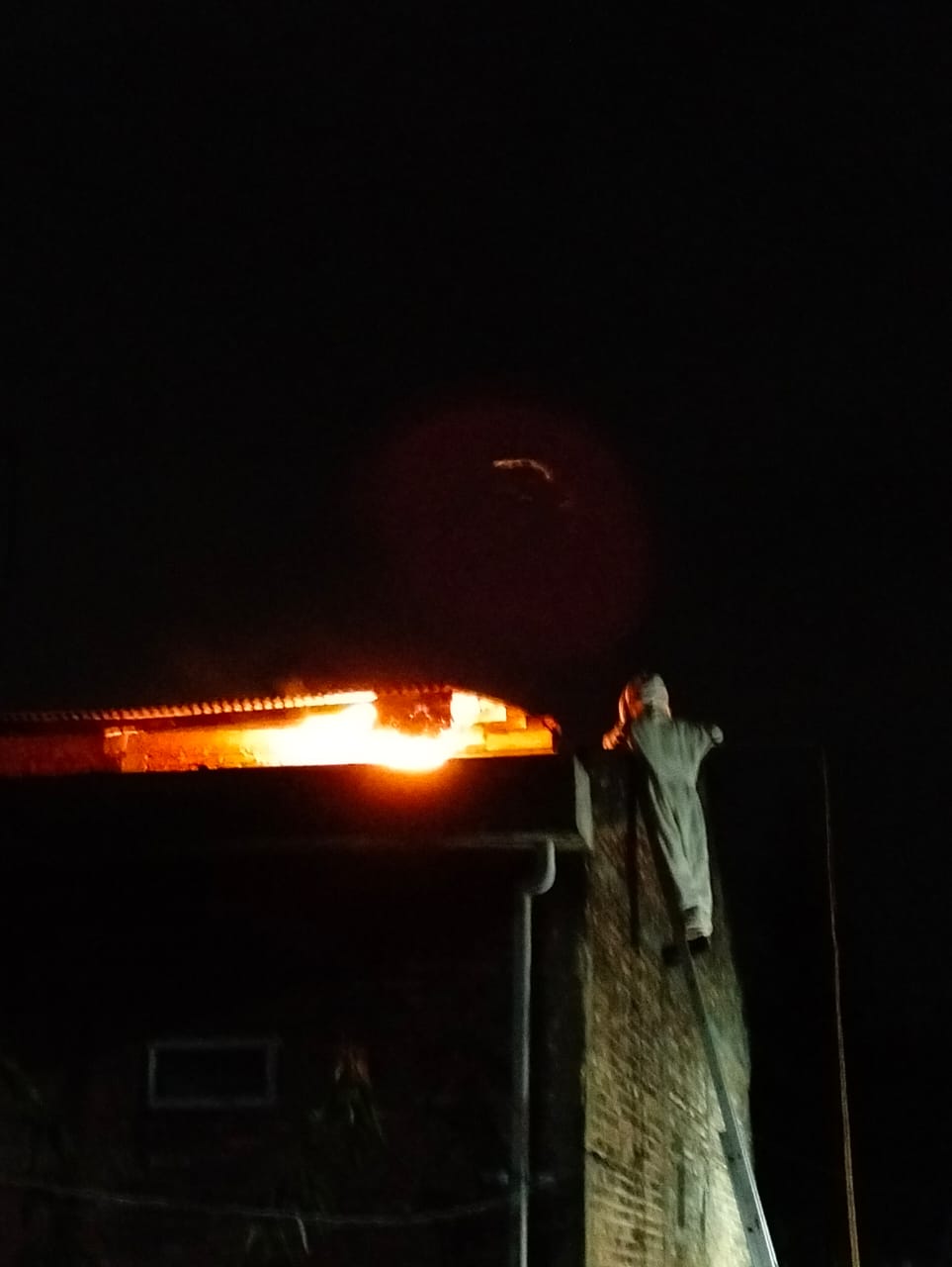 Damkar Baureno Berhasil Tangani Sarang Tawon Vespa Affinis di Desa Simorejo