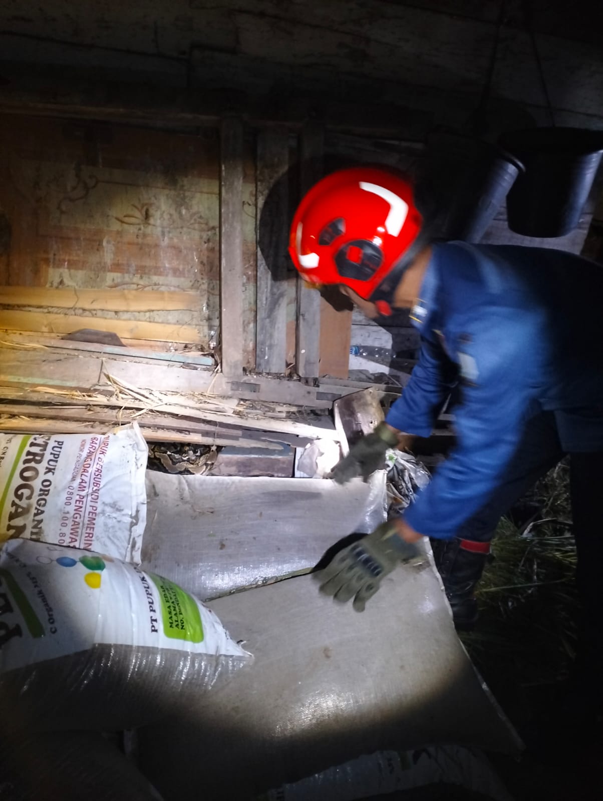 Damkar Kedungadem Evakuasi Ular Sanca dari Rumah Warga Pejok