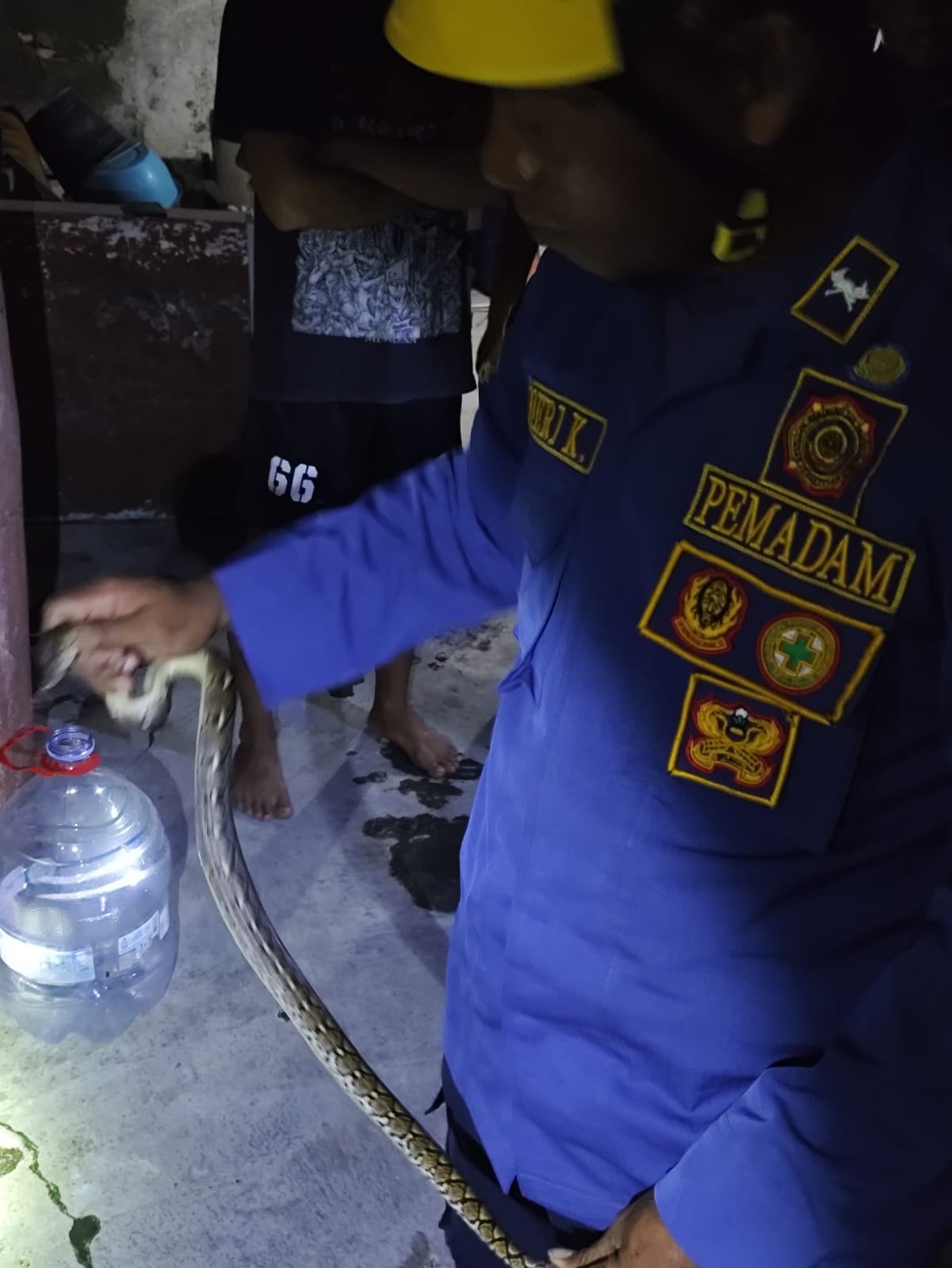 Damkar Bojonegoro Evakuasi Ular Sanca dari Permukiman Warga di Kalianyar