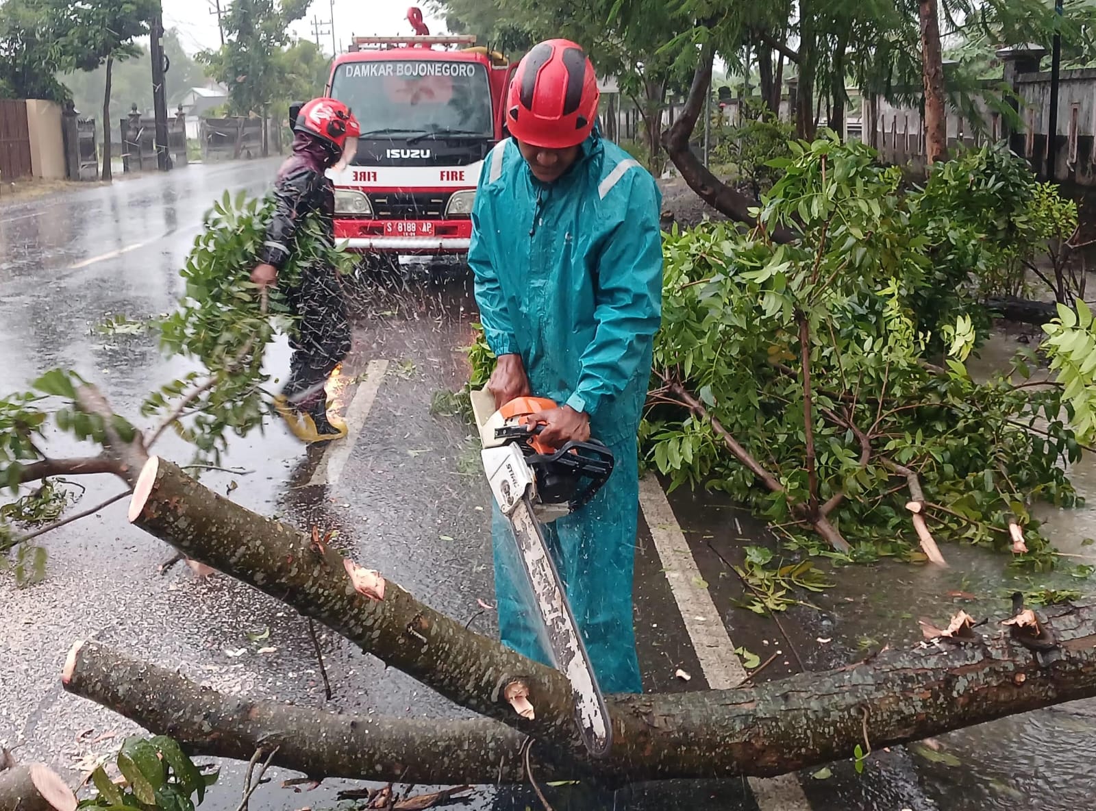 Pohon Tumbang Tutup Jalan Raya Bojonegoro–Baureno, Damkar Baurno Bergerak Cepat Lakukan Evakuasi