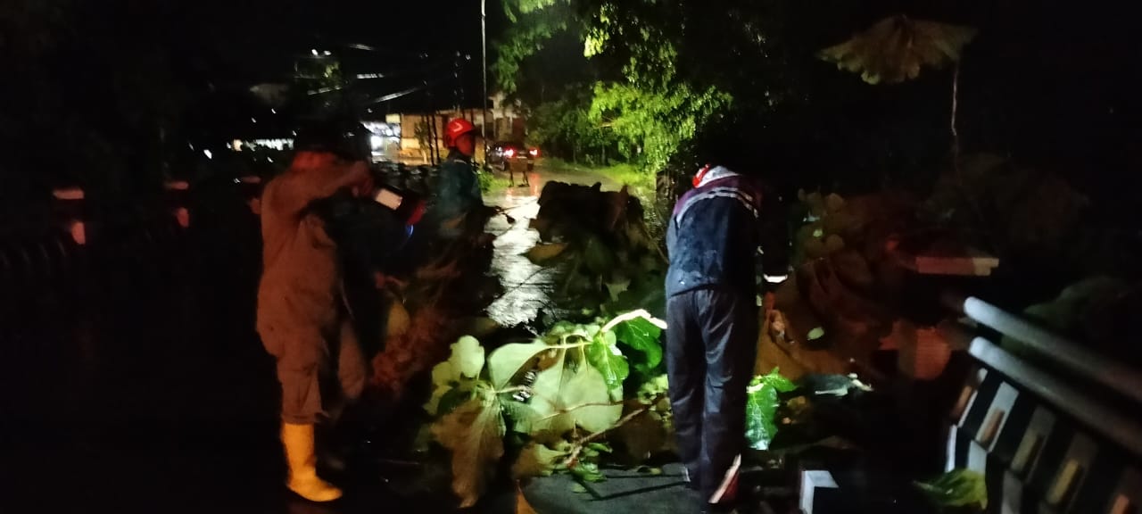 Damkar Bojonegoro Tangani Pohon Tumbang di Jalur Ngasem–Kalitidu, Lalu Lintas Kembali Normal