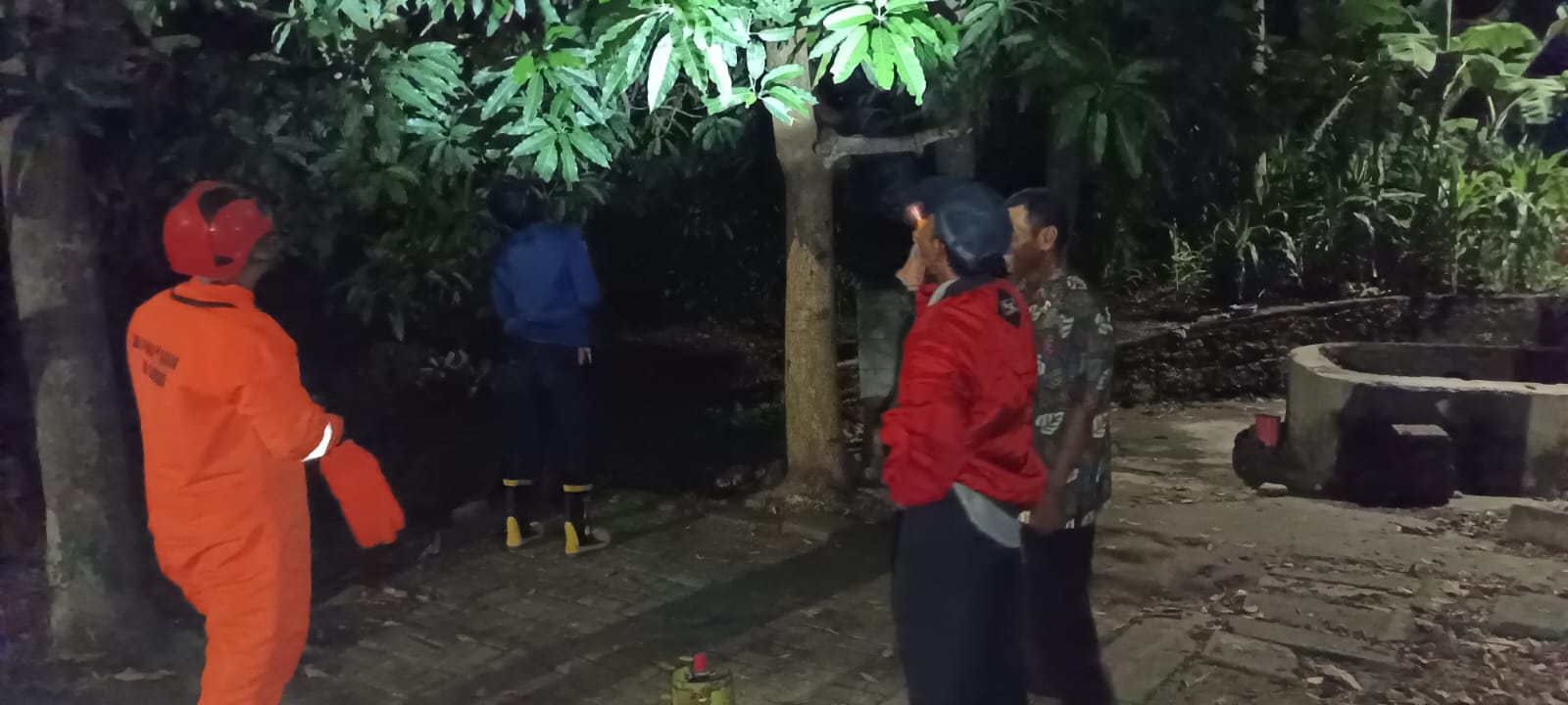 Damkar Bojonegoro Evakuasi Sarang Tawon Ndas di Desa Deling