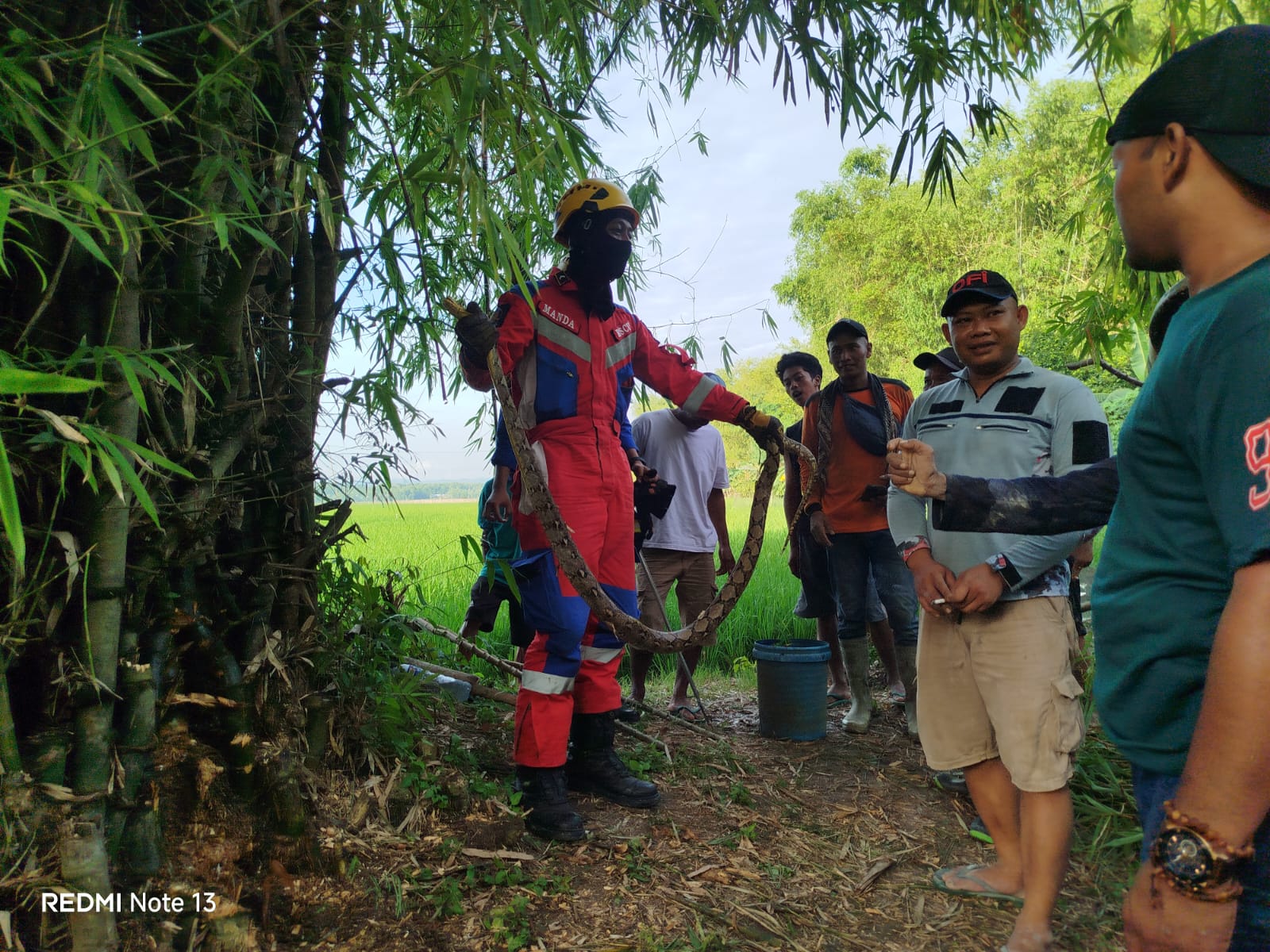 Damkar Bojonegoro Evakuasi Ular Piton 2,5 Meter di Permukiman Warga Trucuk