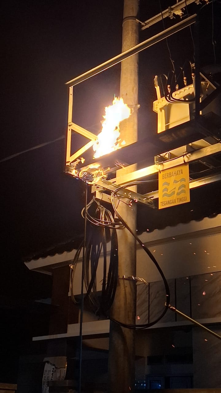 Damkar Bojonegoro Tangani Sarang Tawon di Bawah Gardu PLN Balen