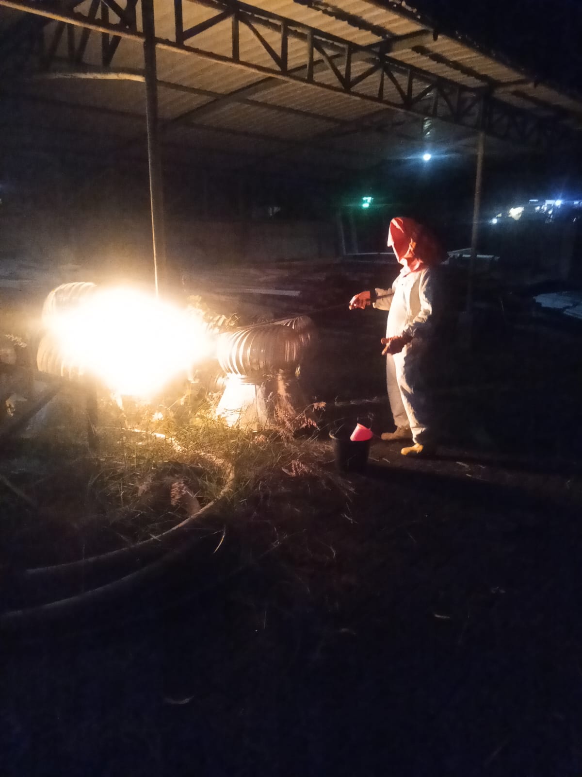 Damkarmat Bojonegoro Tangani Sarang Tawon Vespa Affinis di Gudang Aset Pemkab