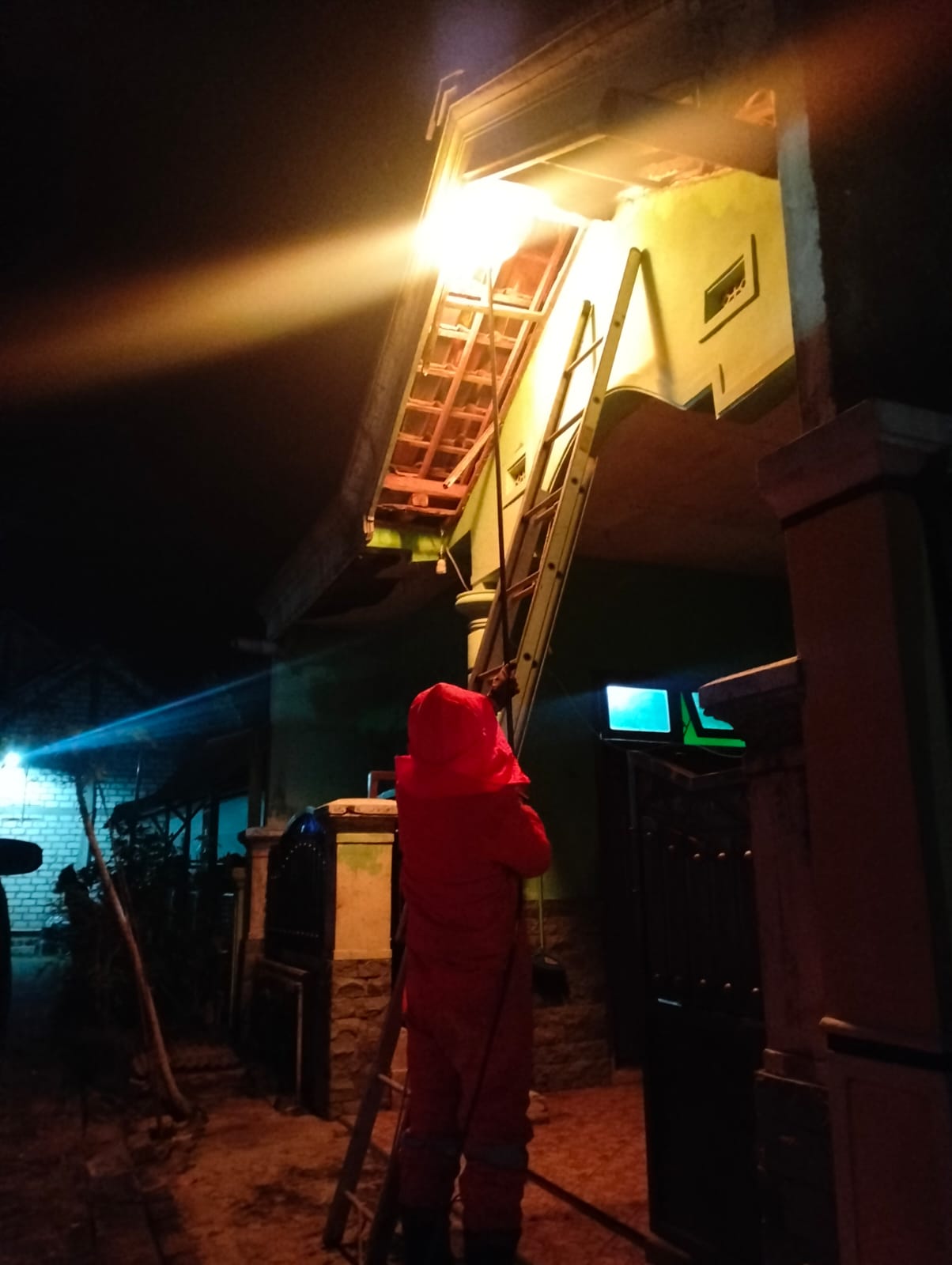 Damkarmat Bojonegoro Tangani Sarang Tawon Vespa Affinis di Permukiman Warga Dander