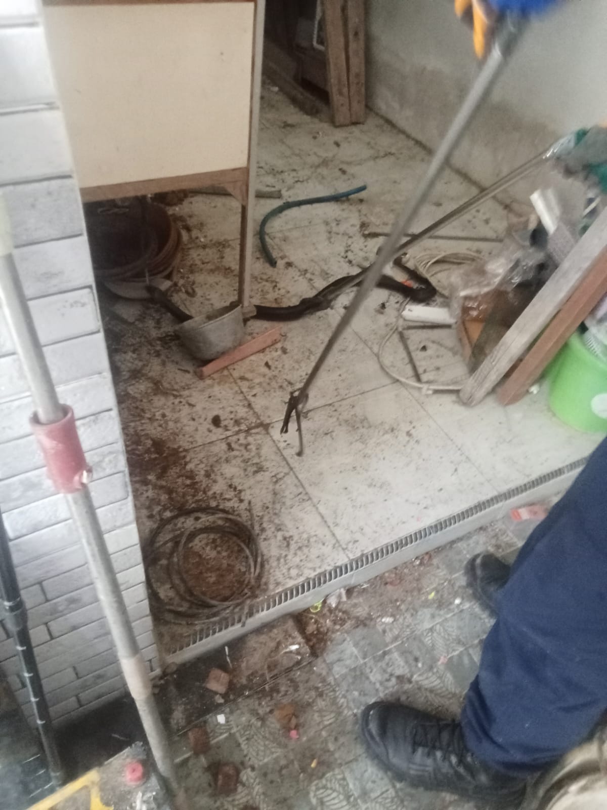 Damkarmat Bojonegoro Evakuasi Ular Cobra Jawa di Kantor Kecamatan Baureno