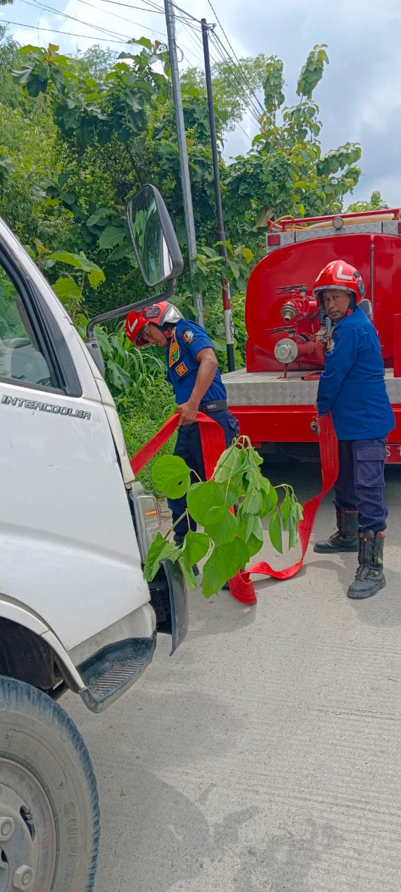 Damkarmat Bojonegoro Evakuasi Truk Box Terperosok di Ruas Jalan Ngambon–Tambakrejo
