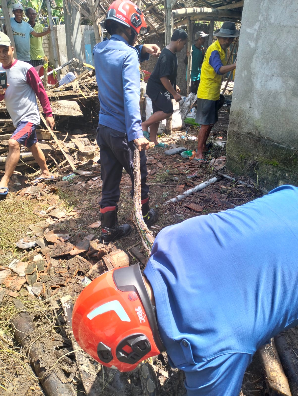 Damkarmat Bojonegoro Tangani Ular Masuk Pekarangan Warga di Kecamatan Kanor