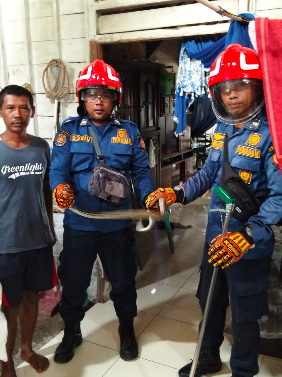 Damkarmat Bojonegoro Evakuasi Ular Masuk Rumah Warga di Kecamatan Ngasem