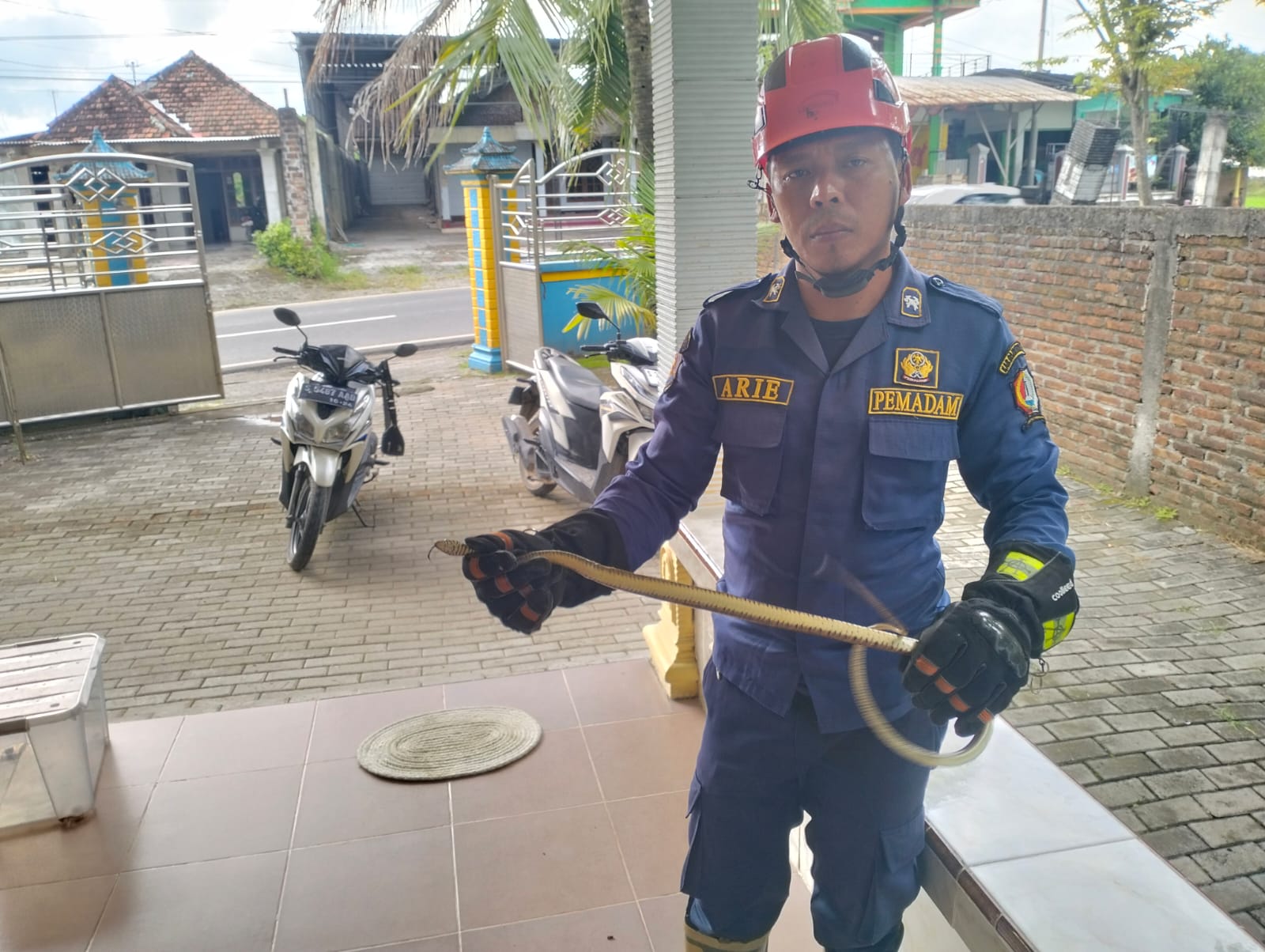 Damkarmat Bojonegoro Evakuasi Ular di Permukiman Warga Kecamatan Temayang