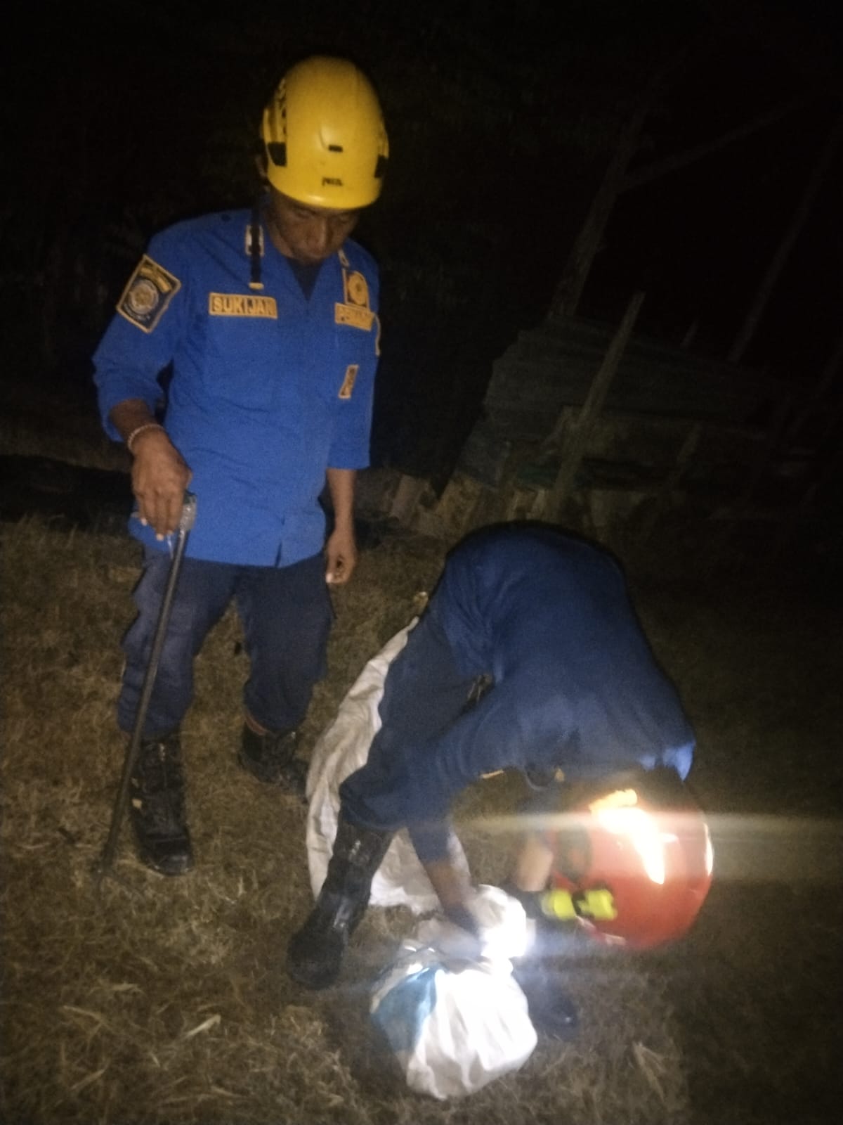 Damkarmat Bojonegoro Evakuasi Ular Piton di Permukiman Warga Sukosewu