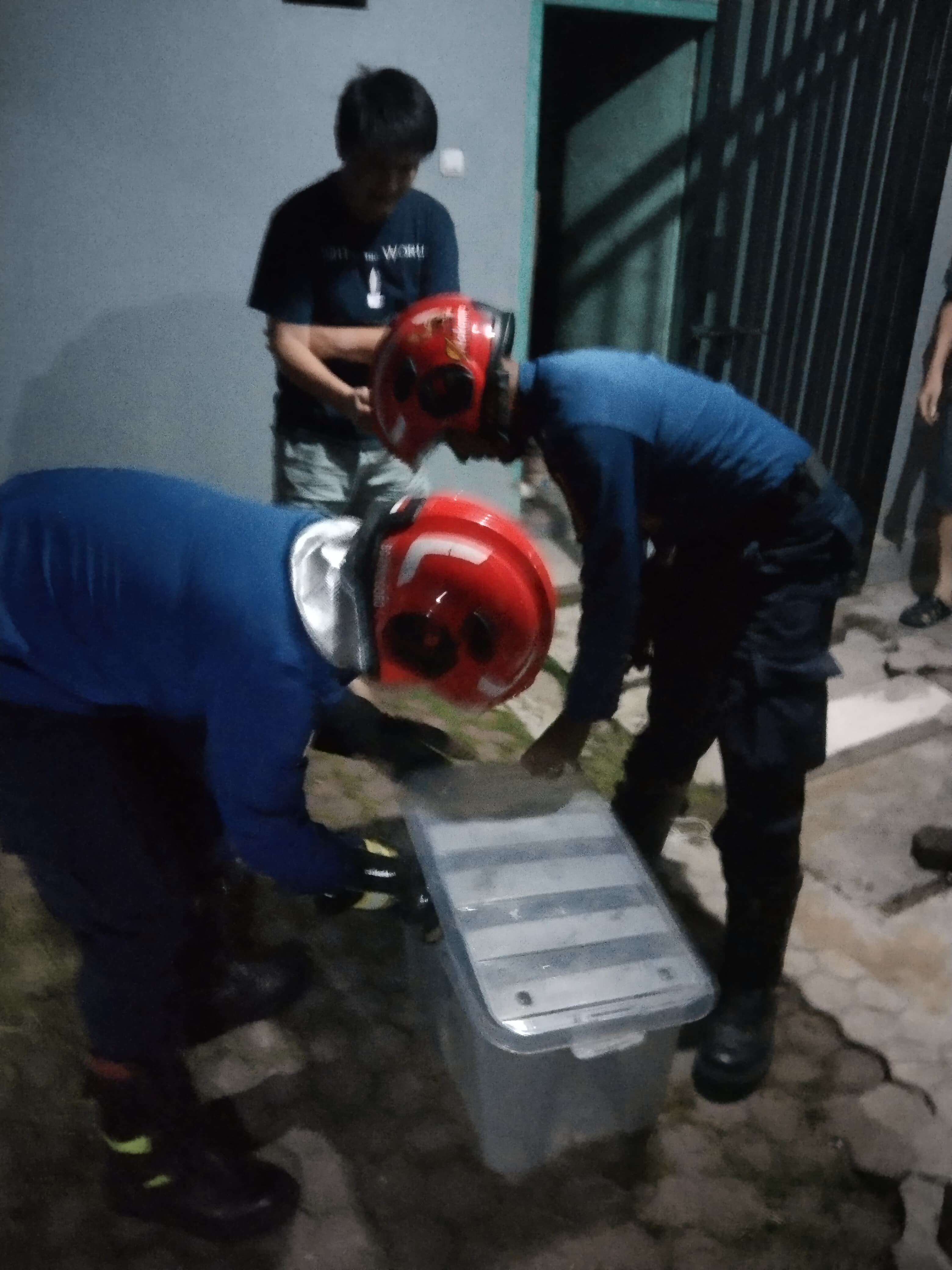 Damkarmat Bojonegoro Lakukan Evakuasi Ular Piton di Permukiman Warga Karangpacar
