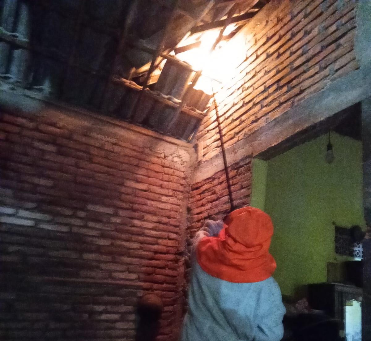 Damkarmat Pos Kota Tangani Sarang Tawon Vespa Affinis di Desa Kedaton