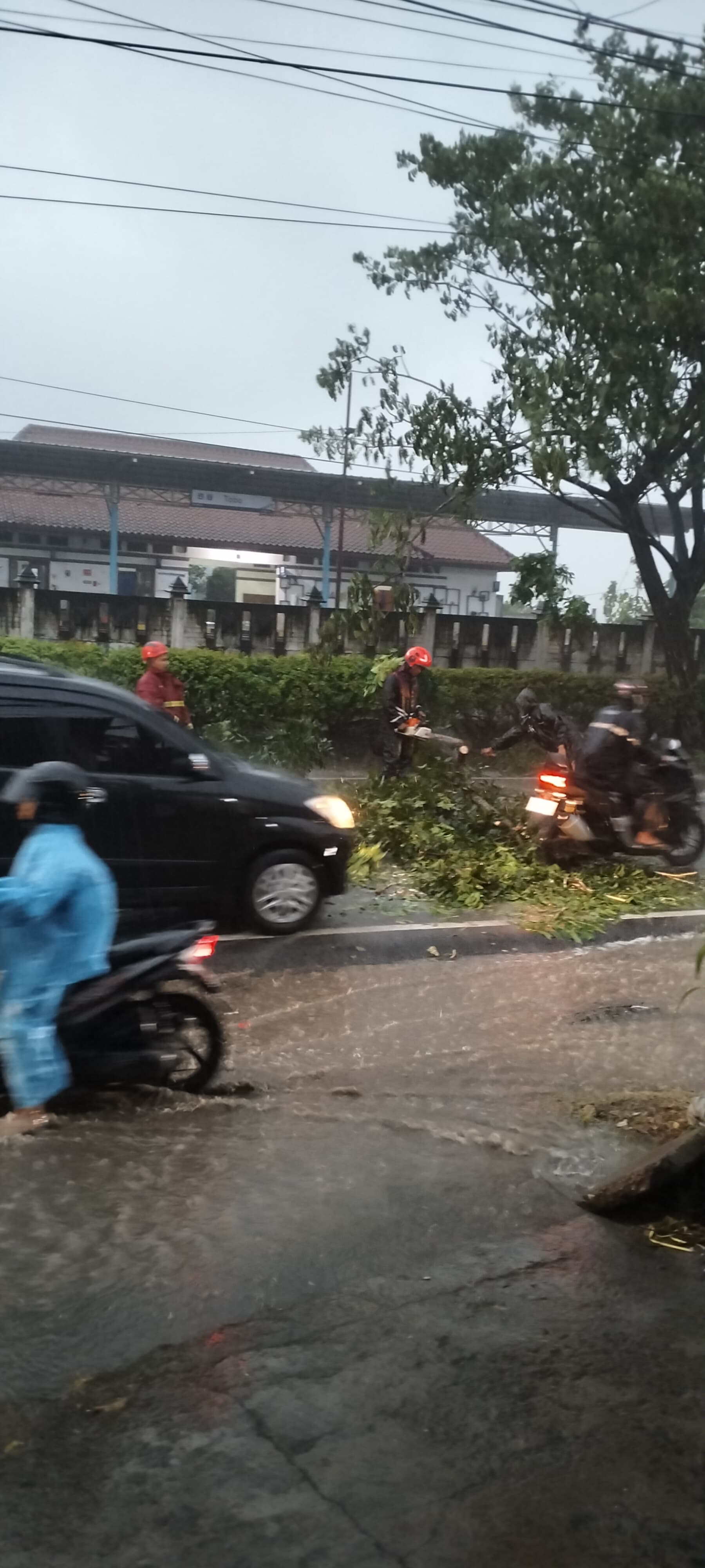 Damkarmat Pos Padangan Evakuasi Pohon Tumbang di Jalan Raya Bojonegoro–Cepu