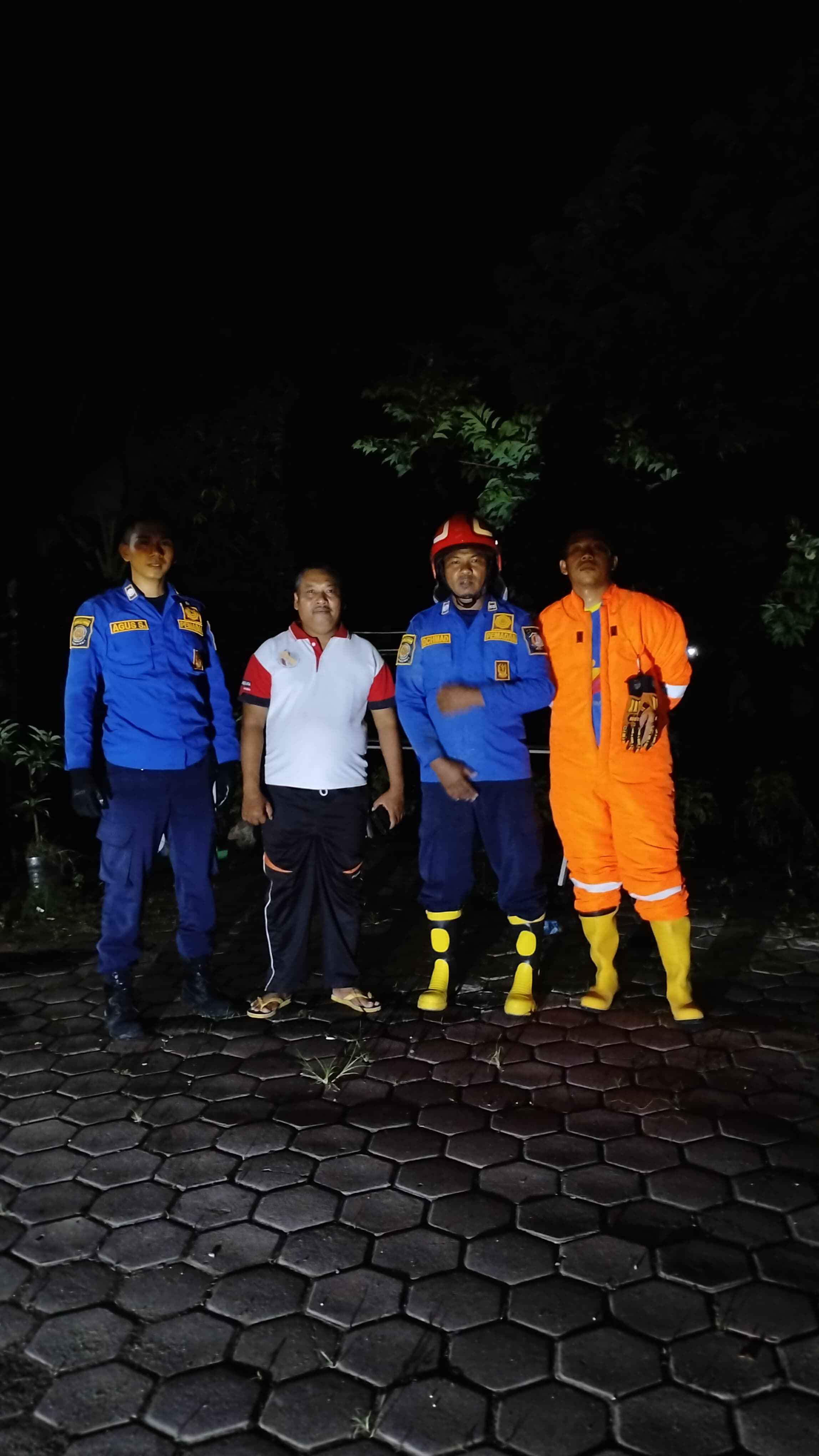 Damkarmat Pos Kedungadem Tangani Sarang Tawon di Desa Kedungrejo